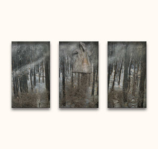Anselm Kiefer's 'Karfunkel Wald' triptych features a desaturated forest scene with a suspended, hooded garment in the center panel, blending modern art with nature.