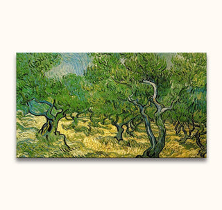 Vincent van Gogh - Olijfboomgaard: Handgeschilderd olieverfschilderij van een olijfboomgaard in de Provençe, met impressionistische stijl en op museumkwaliteit canvas. Direct ophangbaar.
