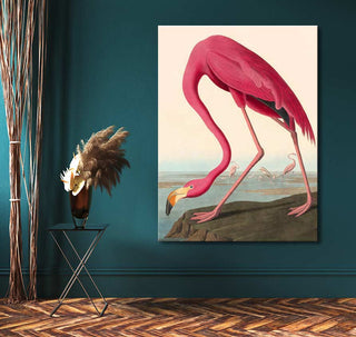 Audubon - American Flamingo oil painting on teal wall, featuring a vintage-style flamingo illustration. Perfect for modern art enthusiasts, ready to hang.