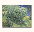 Vincent van Gogh - De Seringen, an Impressionist-style oil painting depicting a leafy shrub, dirt path, and blue water. Ready-to-hang, museum-quality canvas.